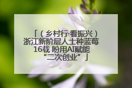 （乡村行·看振兴）浙江新阶层人士种蓝莓16载 盼用AI赋能“二次创业”