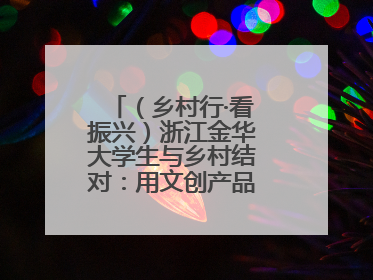 （乡村行·看振兴）浙江金华大学生与乡村结对：用文创产品赋能乡村振兴