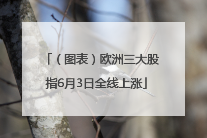 （图表）欧洲三大股指6月3日全线上涨