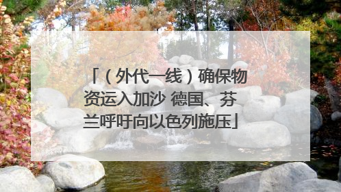 （外代一线）确保物资运入加沙 德国、芬兰呼吁向以色列施压