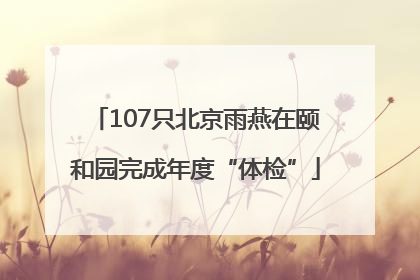 107只北京雨燕在颐和园完成年度“体检”