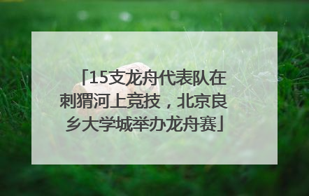 15支龙舟代表队在刺猬河上竞技，北京良乡大学城举办龙舟赛
