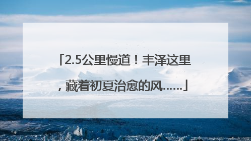 2.5公里慢道！丰泽这里，藏着初夏治愈的风……