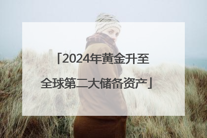 2024年黄金升至全球第二大储备资产
