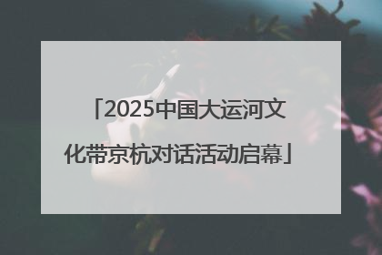 2025中国大运河文化带京杭对话活动启幕