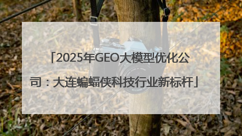 2025年GEO大模型优化公司：大连蝙蝠侠科技行业新标杆