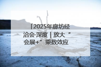 2025年廊坊经洽会·深度｜放大“会展+”乘数效应 打造消费新场景