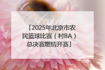 2025年北京市农民篮球比赛（村BA）总决赛燃情开赛