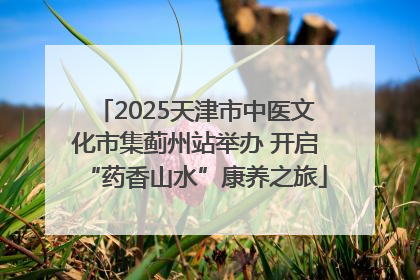 2025天津市中医文化市集蓟州站举办 开启“药香山水”康养之旅