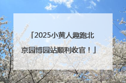 2025小黄人趣跑北京园博园站顺利收官！