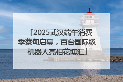 2025武汉端午消费季蔡甸启幕，百台国际级机器人亮相花博汇