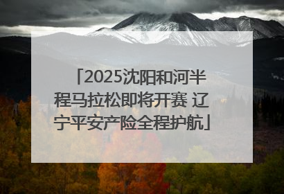 2025沈阳和河半程马拉松即将开赛 辽宁平安产险全程护航