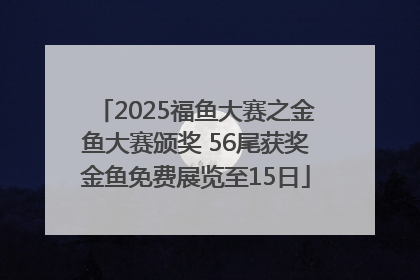2025福鱼大赛之金鱼大赛颁奖 56尾获奖金鱼免费展览至15日