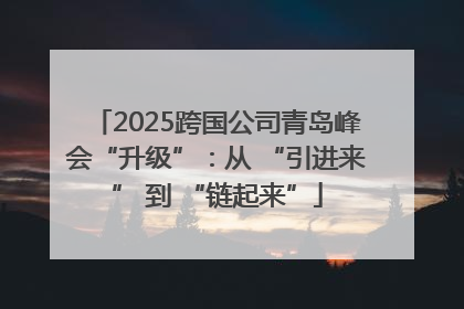 2025跨国公司青岛峰会“升级”：从 “引进来” 到 “链起来”