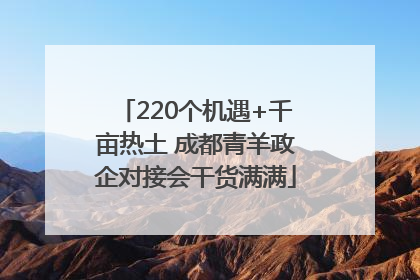 220个机遇+千亩热土 成都青羊政企对接会干货满满