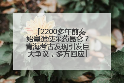2200多年前秦始皇遣使采药昆仑？青海考古发现引发巨大争议，多方回应