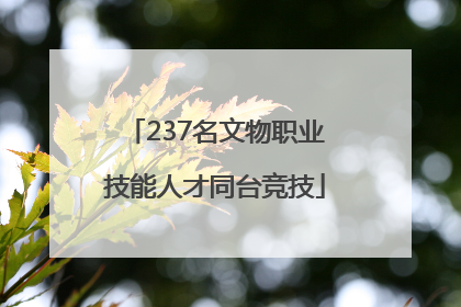 237名文物职业技能人才同台竞技
