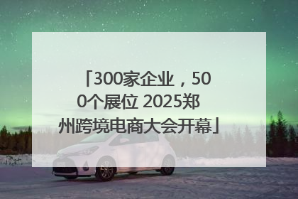 300家企业，500个展位 2025郑州跨境电商大会开幕