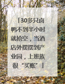 30多只卤鸭不到半小时就抢空，当酒店外摆摆到产业园，上班族很“买账”
