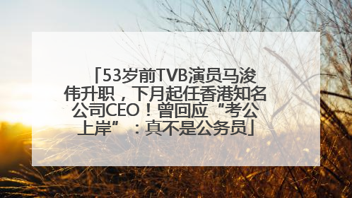 53岁前TVB演员马浚伟升职，下月起任香港知名公司CEO！曾回应“考公上岸”：真不是公务员