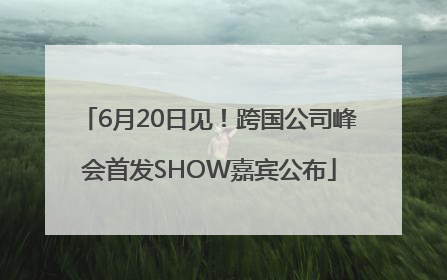 6月20日见！跨国公司峰会首发SHOW嘉宾公布