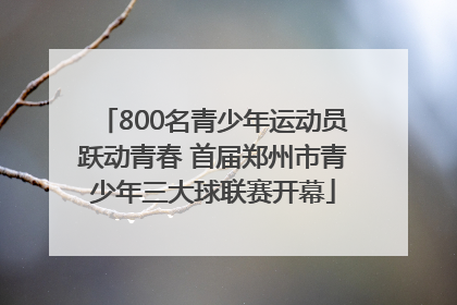 800名青少年运动员跃动青春 首届郑州市青少年三大球联赛开幕