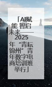AI赋能 智启未来——2025年“青耘锦州”青年数字电商培训班举行
